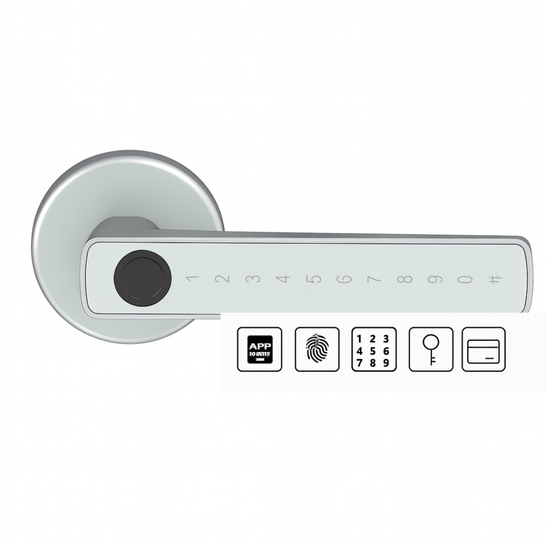 Cerradura inteligente Bluetooth/WiFi