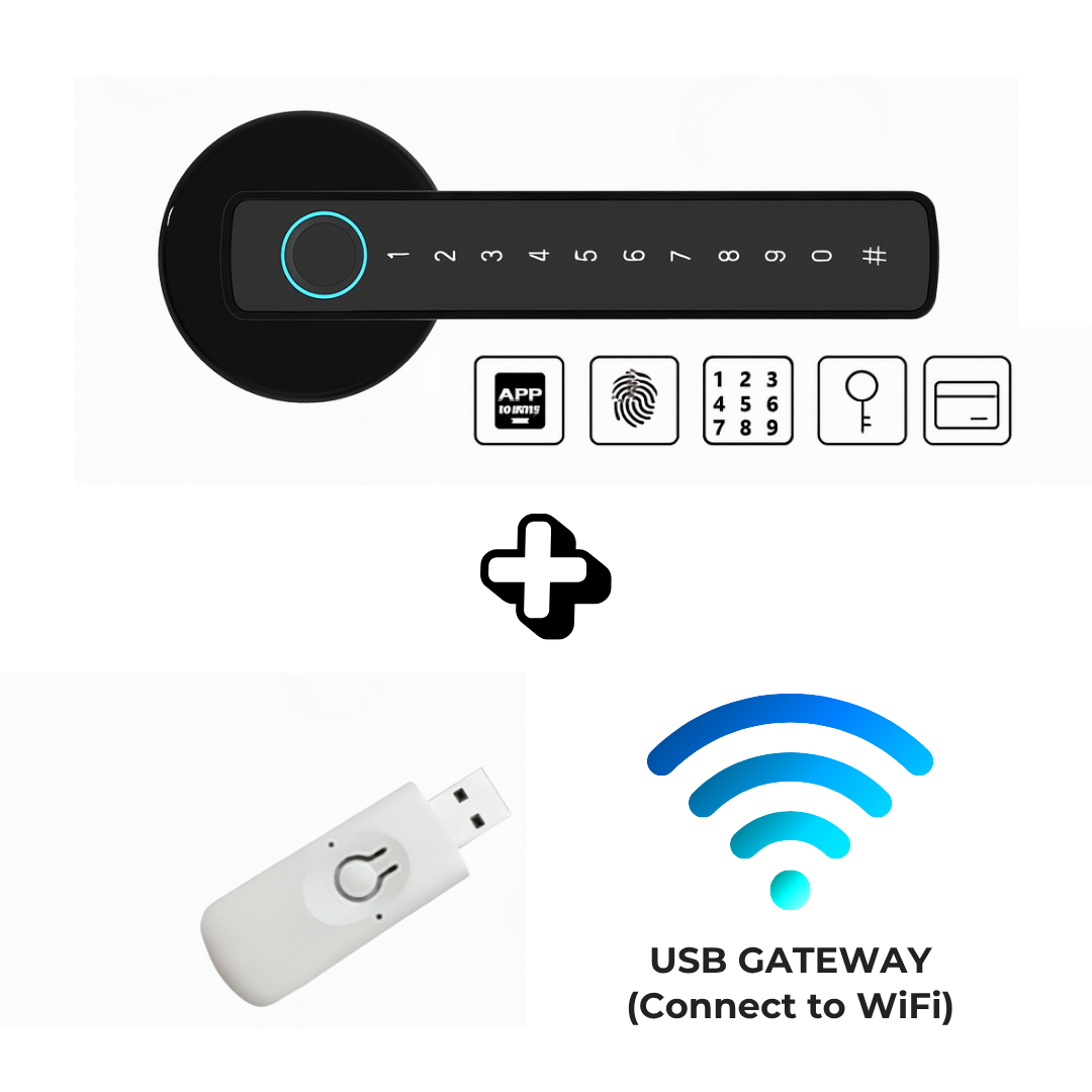 Cerradura inteligente Bluetooth/WiFi